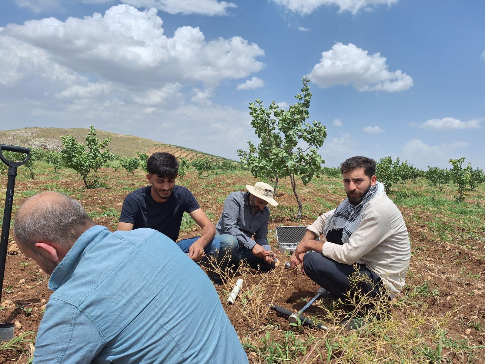 Fıstık Bahçelerinden Toprak Örneği Alınması